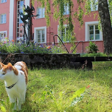 Vanha Koulu Suolahti Luaran gambar