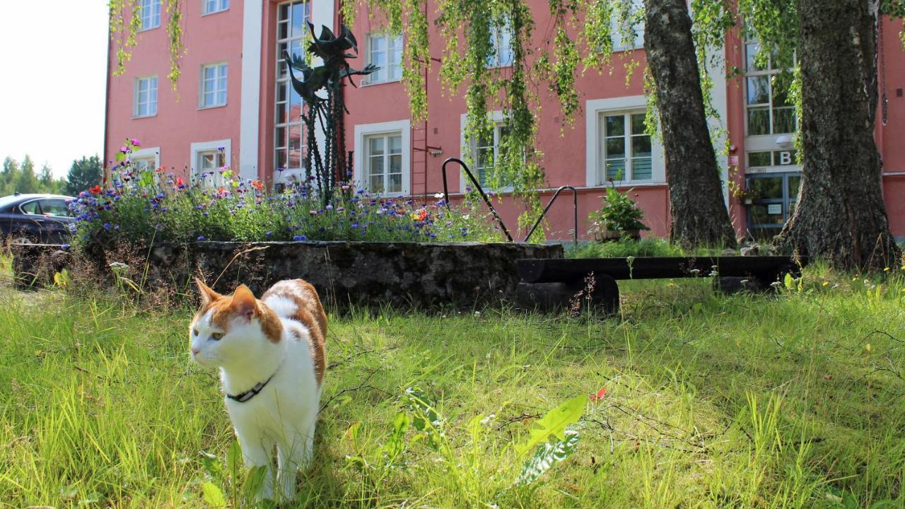 Vanha Koulu Suolahti Luaran gambar