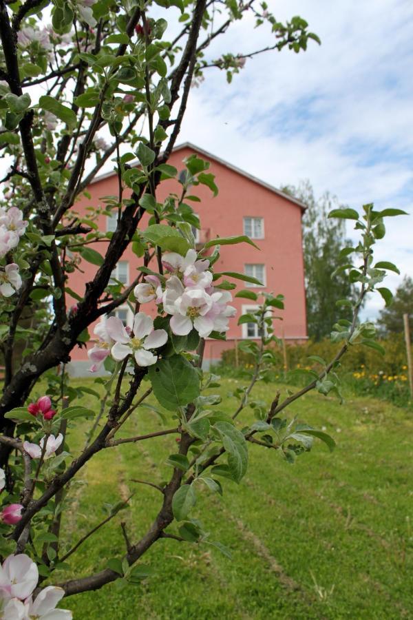 Vanha Koulu Suolahti Luaran gambar